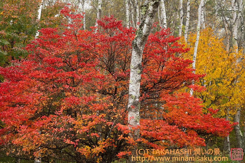 ../Images/7R251019 (270).jpg